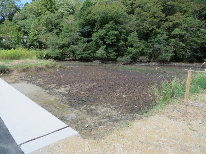 丹波篠山市今田町木津/池写真