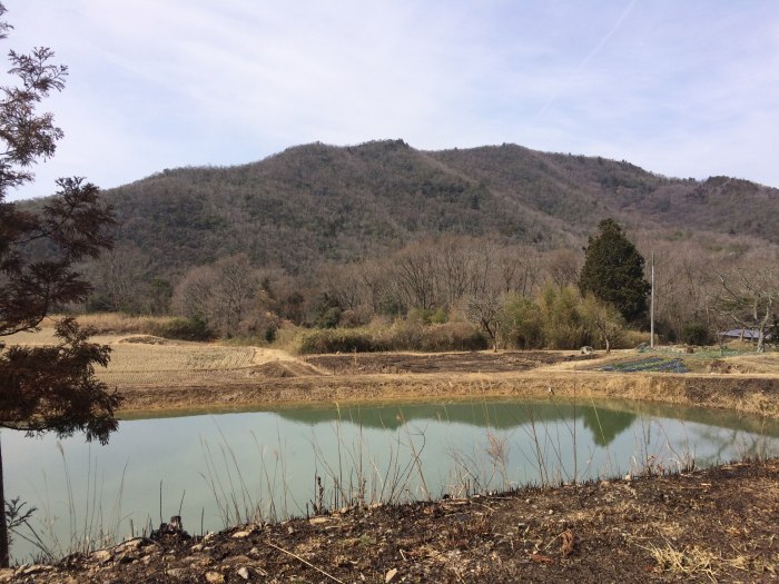 丹波篠山市今田町木津/前山写真