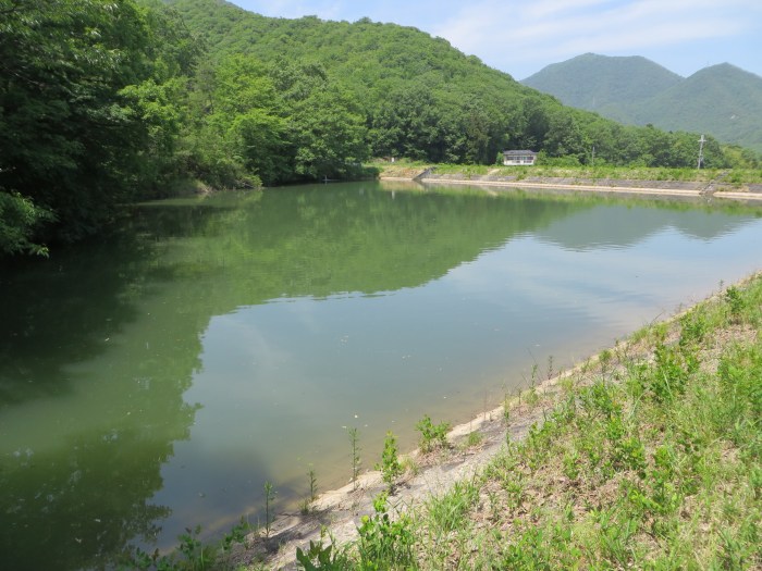 丹波篠山市今田町釜屋/池写真