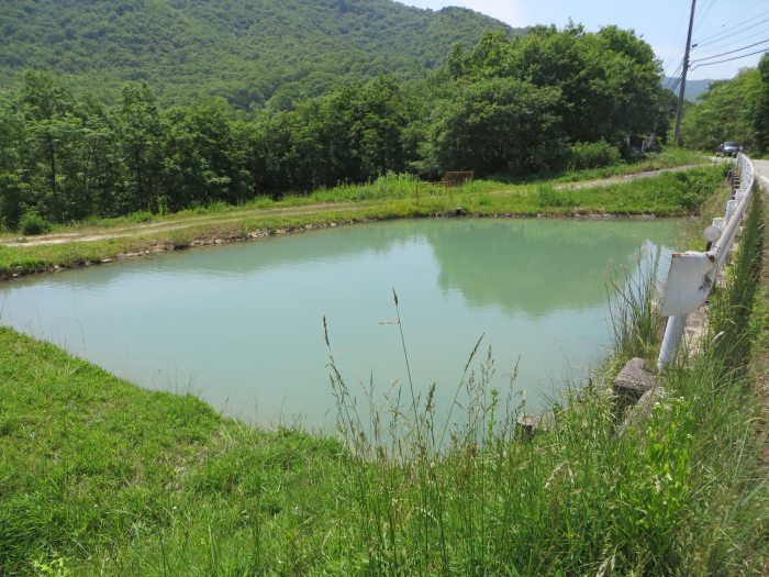 丹波篠山市今田町間新田/池写真