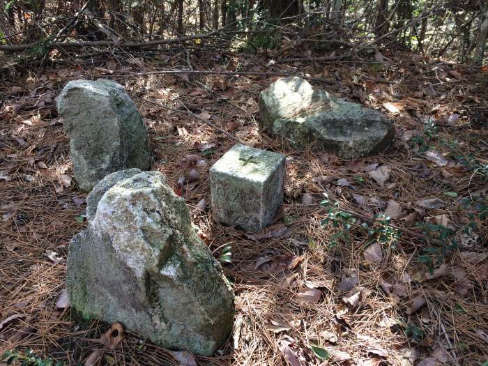 丹波篠山市今田町木津/木津城山・木津城跡写真