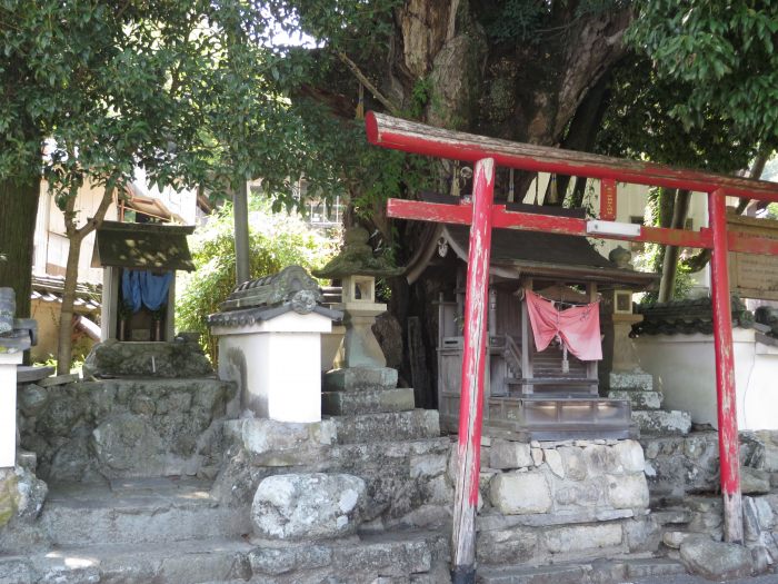 丹波篠山市今田町上立杭/不動尊・白玉稲荷神社写真