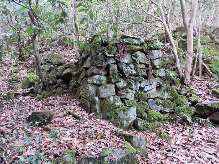 丹波篠山市今田町上立杭/虚空蔵山(局笠山)写真