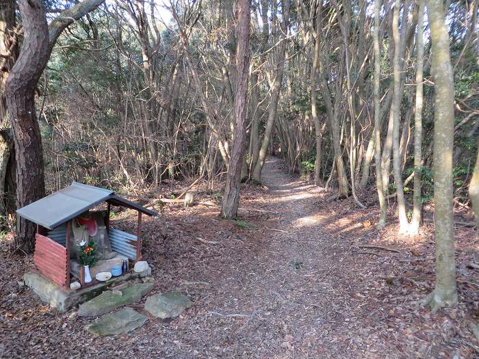 丹波篠山市今田町上立杭/虚空蔵山(局笠山)写真