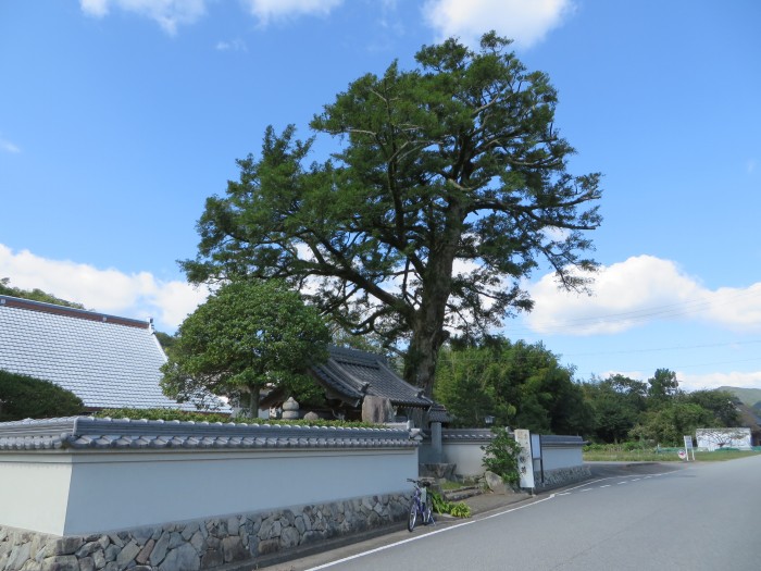 丹波篠山市今田町今田新田/平野山西方寺写真