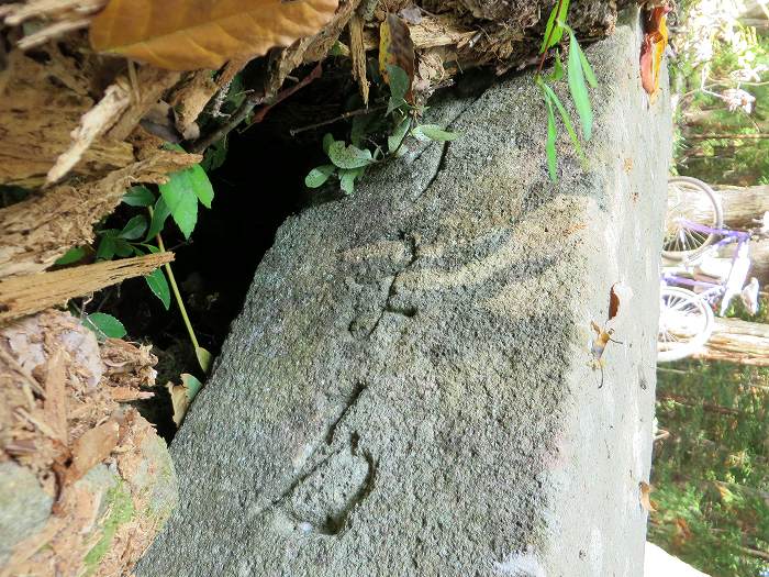 丹波篠山市今田町市原/丹波坂道しるべ写真