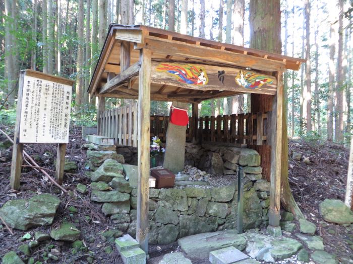 丹波篠山市今田町下小野原/二老山和田寺頭痛地蔵写真