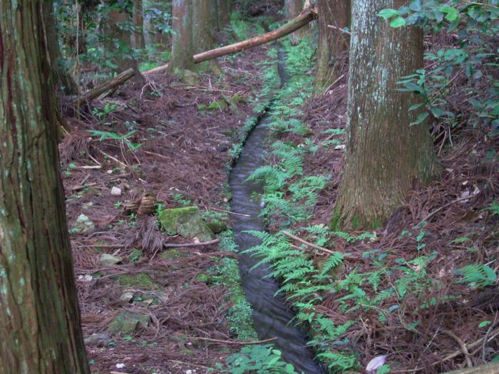 丹波篠山市草野/八王子池森の水路写真