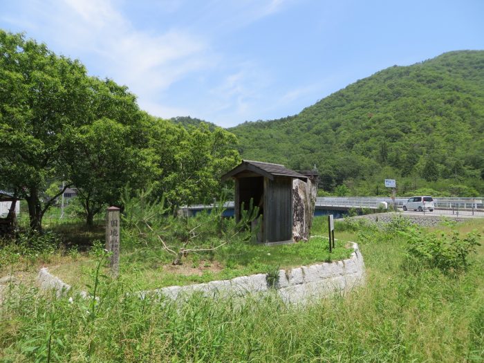 丹波篠山市草野/封人の松写真