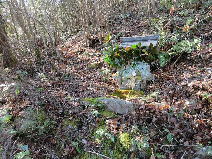 丹波篠山市草野/八王子池水神様写真