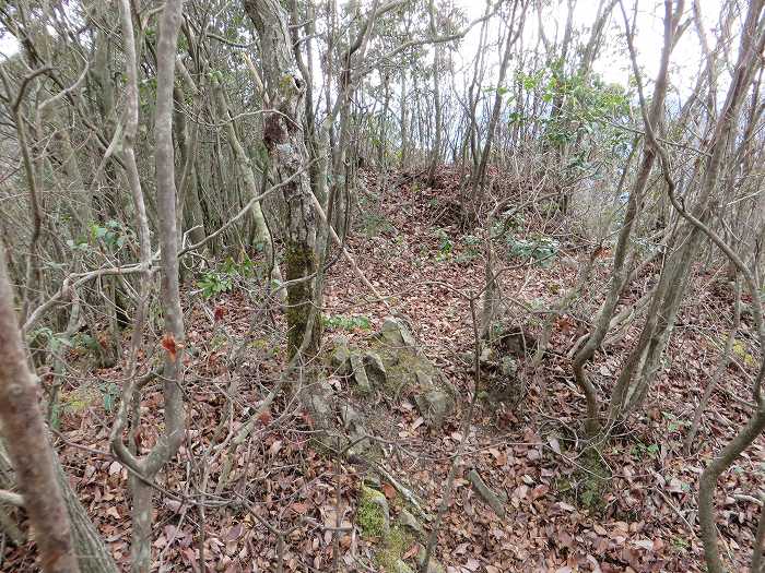 丹波篠山市草野/八王子山写真