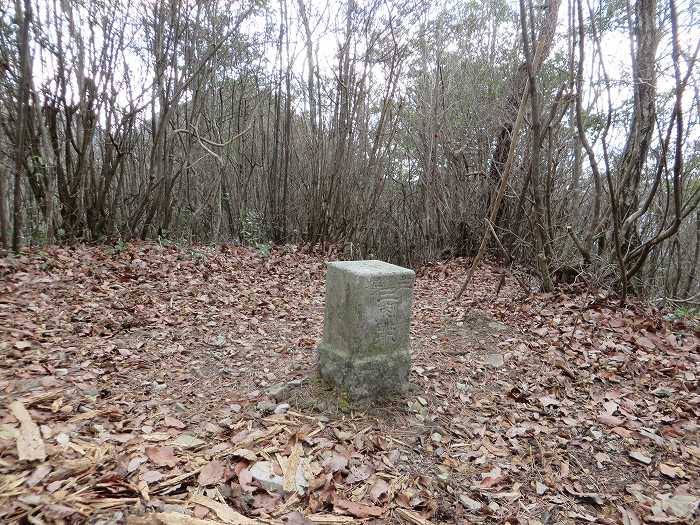 丹波篠山市草野/八王子山三等三角点写真