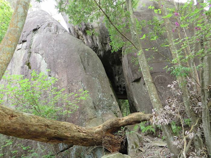 丹波篠山市今田町本荘/西光寺山こぐり岩写真