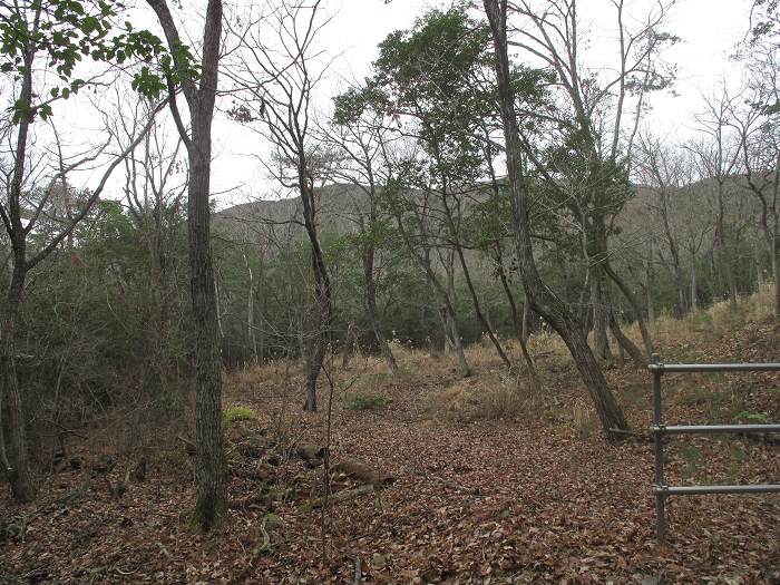 丹波篠山市今田町本荘/北山写真