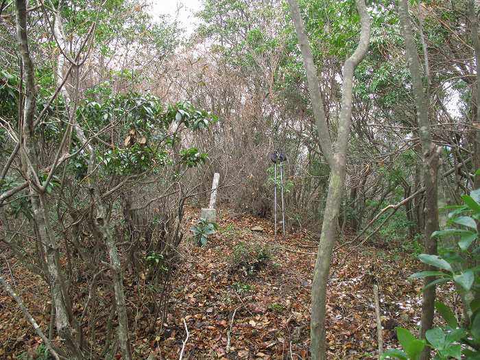 丹波篠山市今田町本荘/北山写真