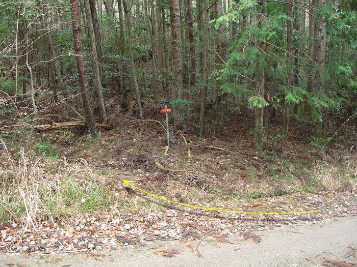 丹波篠山市今田町本荘/北山写真