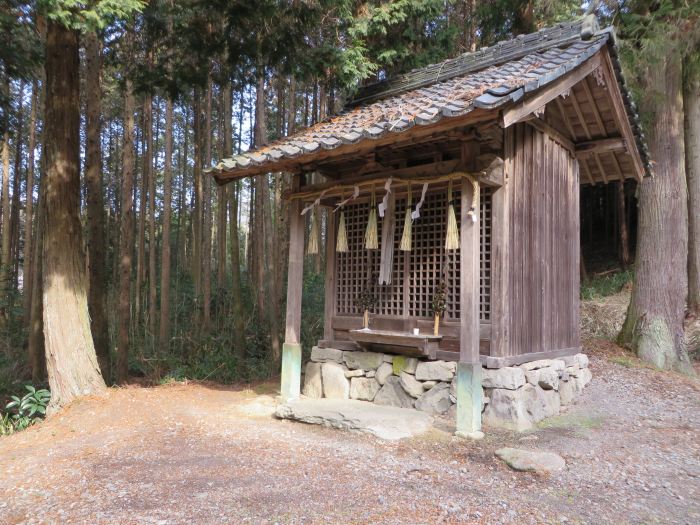 丹波篠山市今田町今田新田/住吉神社写真