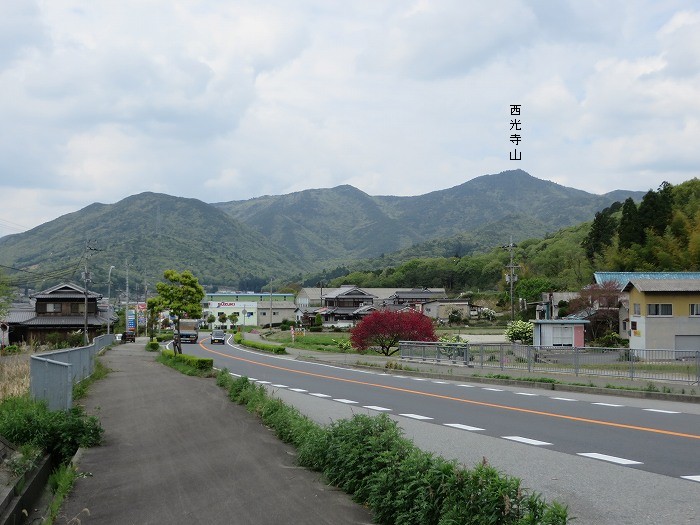 丹波篠山市今田町本荘/西光寺山写真