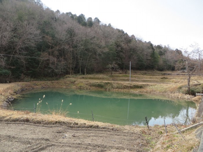 丹波篠山市今田町上小野原/池写真