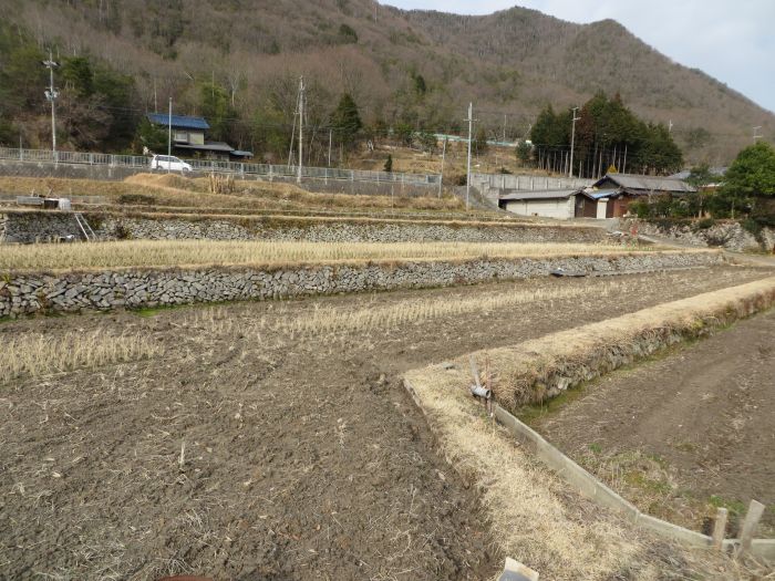 丹波篠山市今田町下小野原/棚田写真