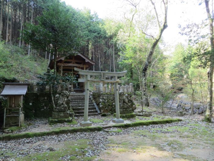 丹波篠山市油井/住吉神社本殿写真