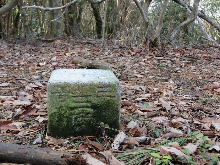 丹波篠山市古森/海見山三等三角点写真