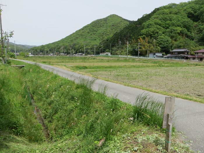 丹波篠山市油井/油井戸伝承地写真