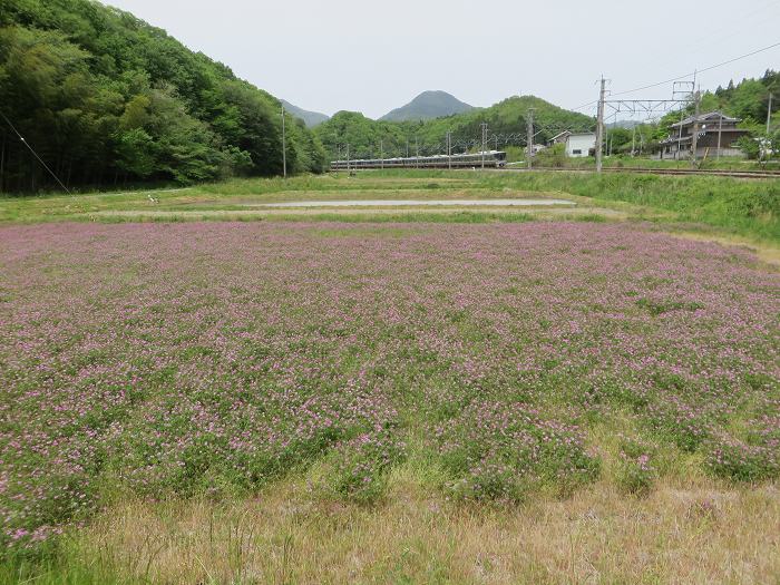 丹波篠山市油井/景色写真