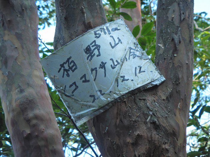 丹波篠山市古森/栢野山