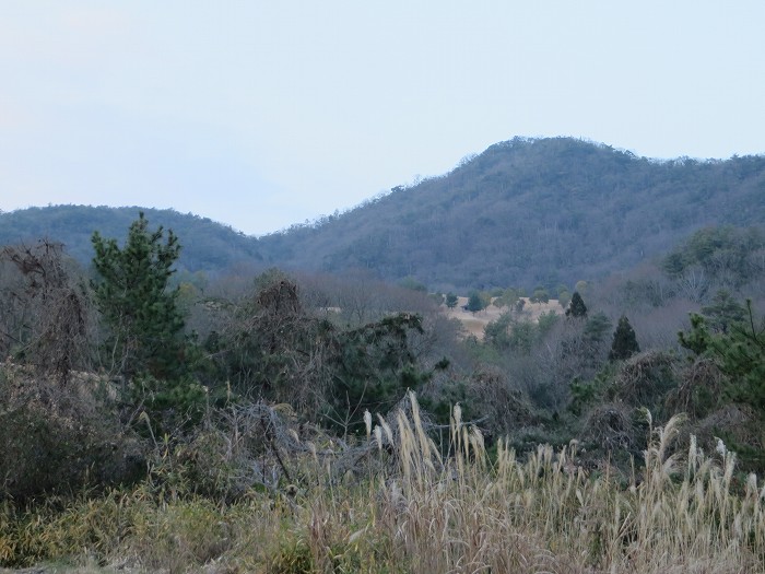 丹波篠山市今田町黒石/楽々庭(ササバ)山写真