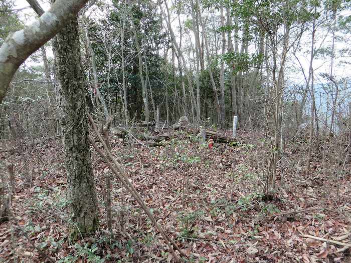 丹波篠山市今田町黒石/楽々庭(ササバ)山写真