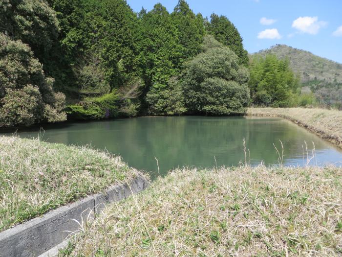 丹波篠山市今田町四斗谷/野池写真