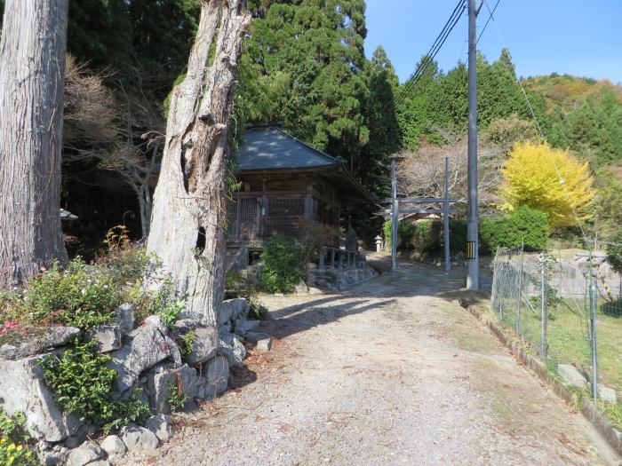 丹波篠山市今田町四斗谷/トンガリ山(妙見山)写真