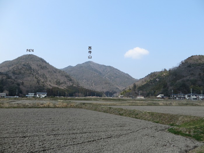 丹波篠山市今田町下小野原/西寺山写真