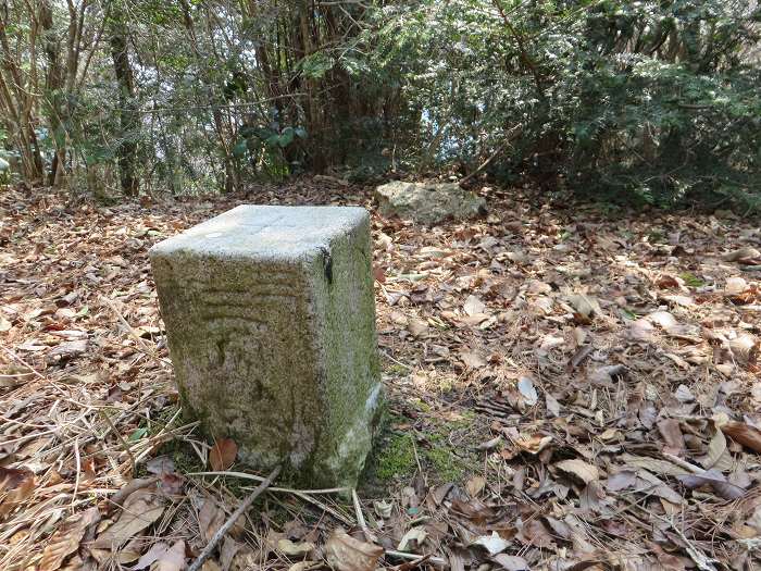 丹波篠山市今田町下小野原/西寺山写真