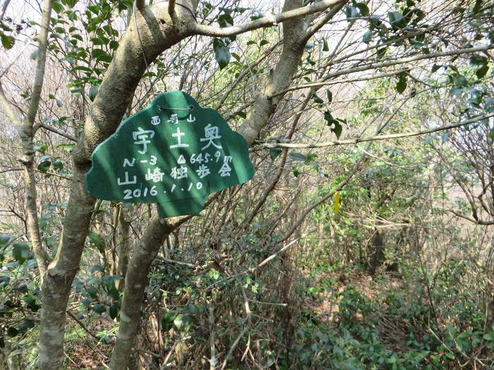 丹波篠山市今田町下小野原/西寺山写真