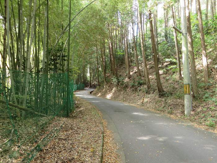 丹波篠山市不来坂/不来坂峠写真