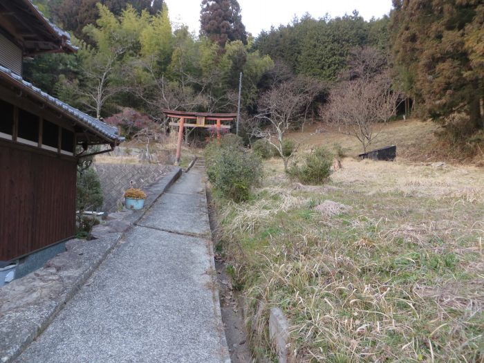 丹波篠山市古市/石橋稲写真