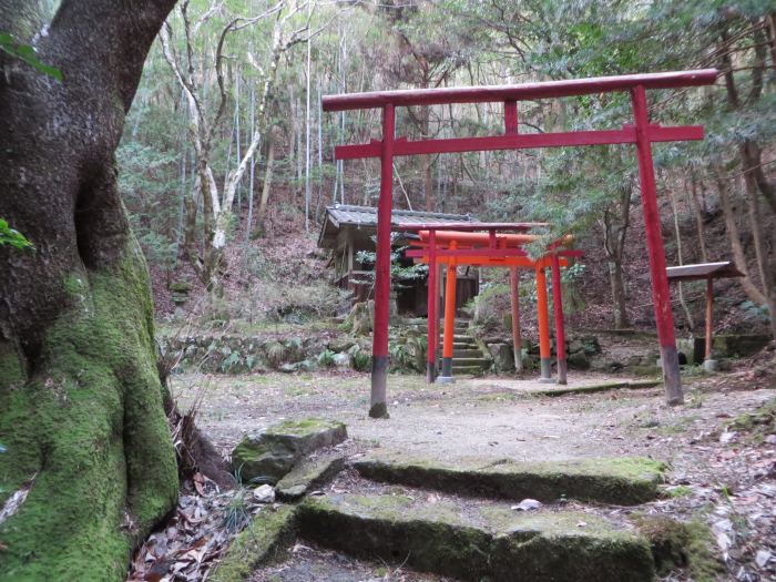 丹波篠山市古市/石橋稲写真