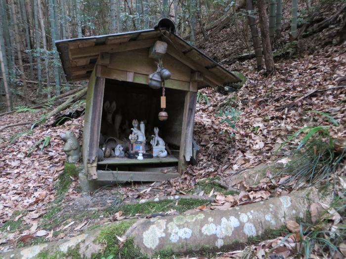 丹波篠山市古市/石橋稲写真