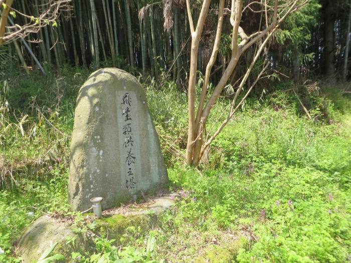 丹波篠山市不来坂/生類供養之塔写真