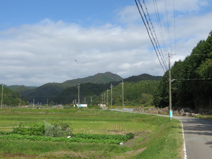 丹波篠山市住山/白髪岳写真