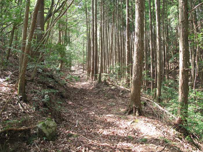 丹波篠山市不来坂/御狩山写真