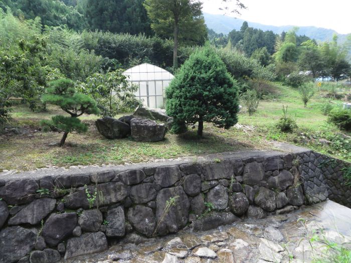 丹波篠山市当野/石写真