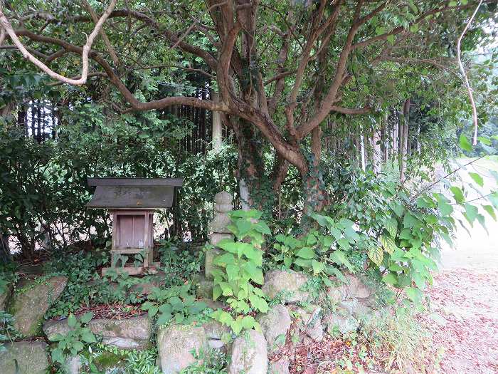 丹波篠山市当野/祠写真