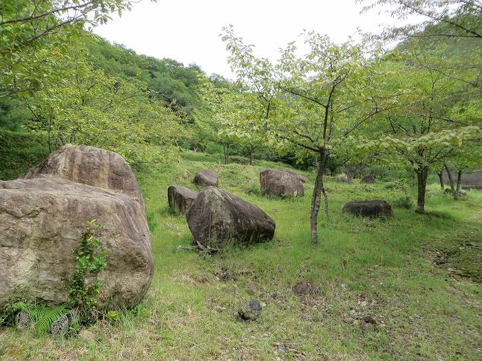 丹波篠山市当野/築城残石写真