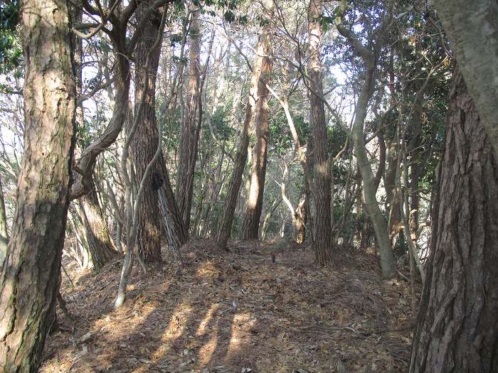 丹波篠山市当野/内ヶ蔵谷山写真