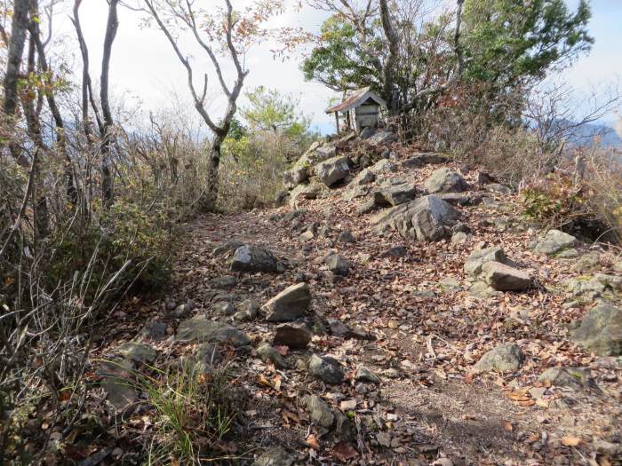 丹波篠山市今田町四斗谷/トンガリ山(妙見山)写真