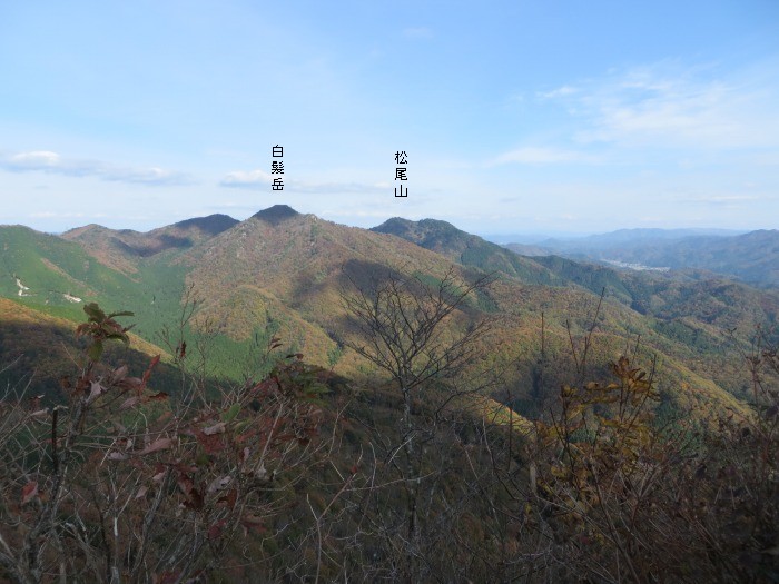 丹波篠山市今田町四斗谷/トンガリ山(妙見山)写真