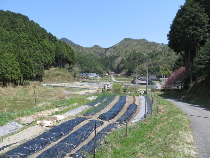 丹波篠山市住山/集坂・団居場写真